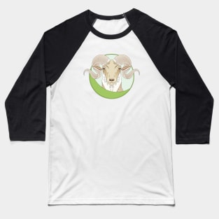 Aries Zodiac Sign Baseball T-Shirt